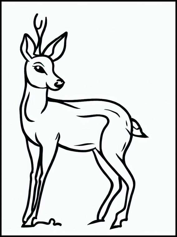 Fargeleggingsbok for Barn Rådyr - Dyr 4 Rådyr - Dyr 4
