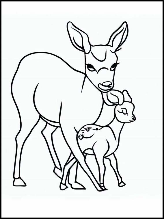 Roe Deer - Animals 6