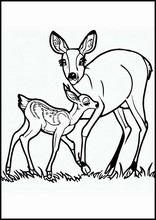 Roe Deer - Animals2