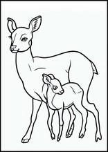 Roe Deer - Animals3