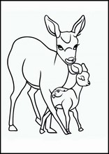 Roe Deer - Animals6