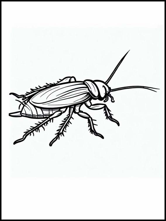 ゴキブリ - 動物 2