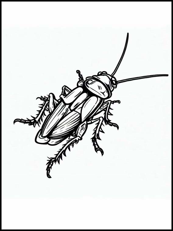Kakerlakk - Dyr 3