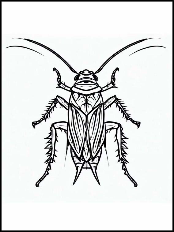 Cucarachas - Animales 4
