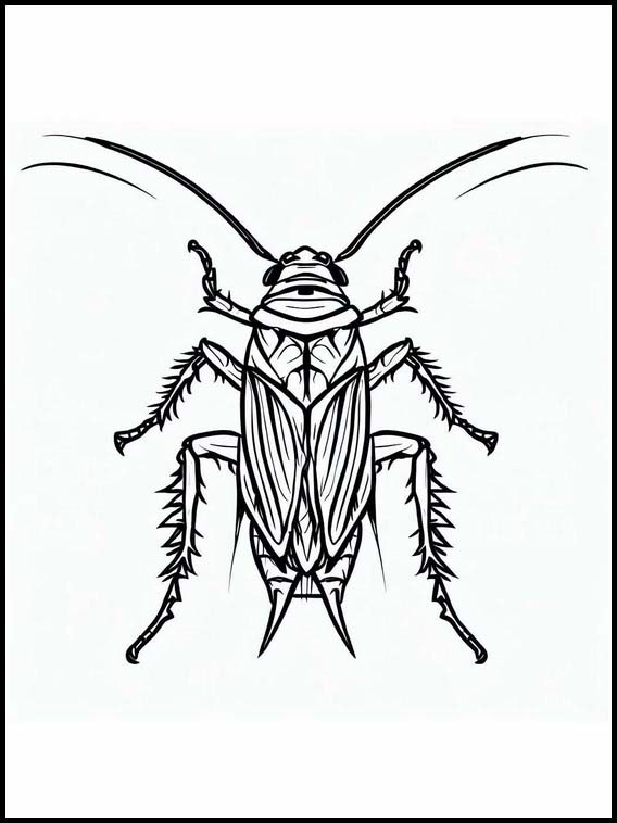 Fargeleggingsbok for Barn Kakerlakk - Dyr 4 Kakerlakk - Dyr 4