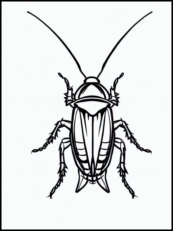 Cucarachas - Animales 5
