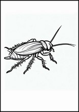 Kakerlaken - Tiere2