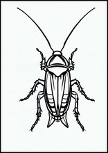Тараканы - Животные5