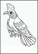 Cucù - Animali5