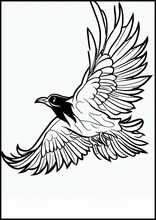 Ravens - Animals1