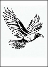 Ravens - Animals2