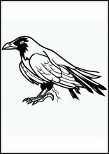 Ravens - Animals3