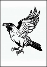 Ravens - Animals4