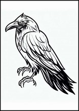 Ravens - Animals6