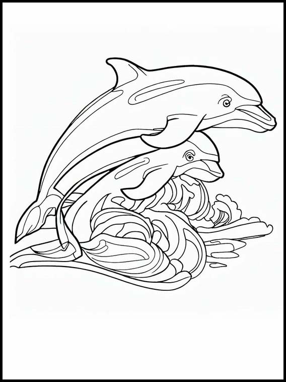 Golfinhos - Animais 2