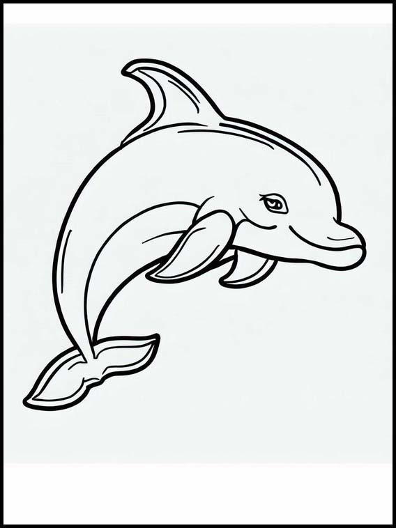 Golfinhos - Animais 3