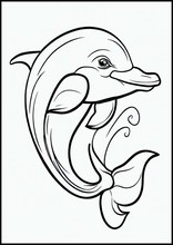 Delfiner - Djur6