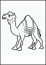單峰駱駝3