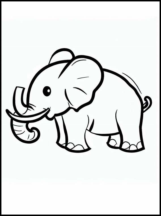 Elefantes - Animais 4