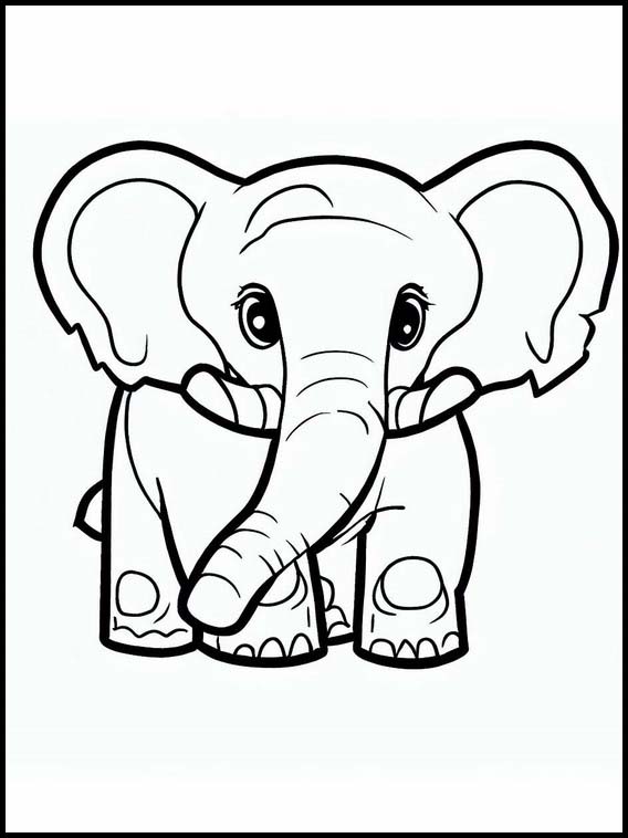 Elefanti - Animali 7
