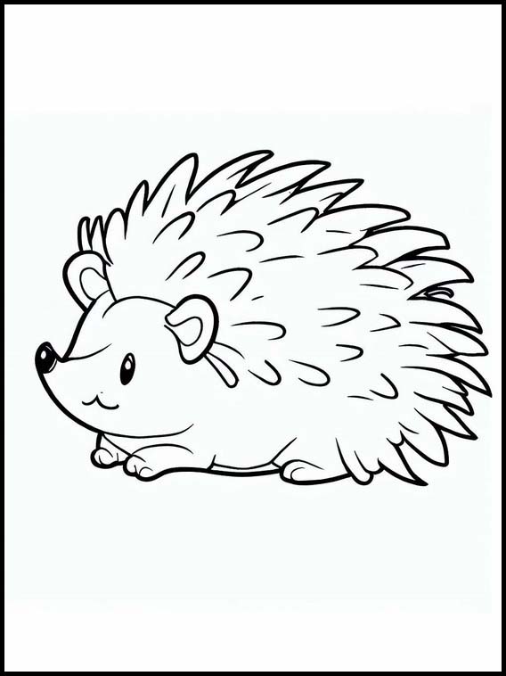 Igel - Tiere 2