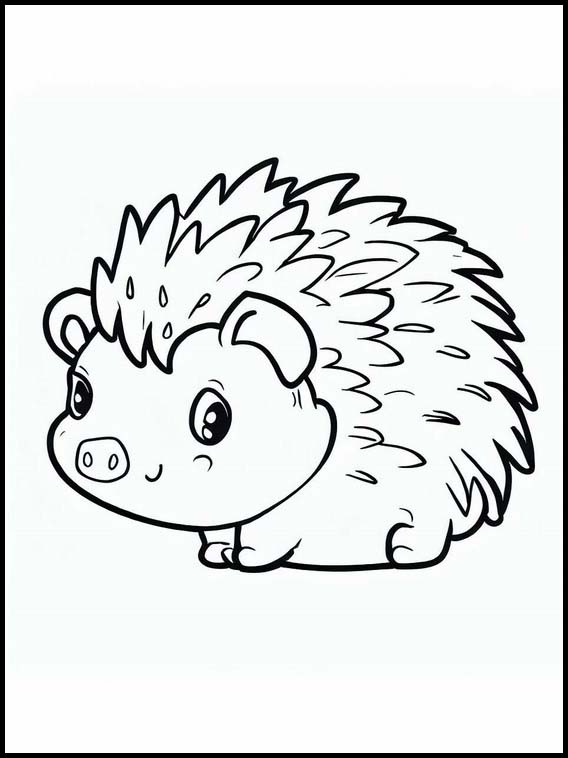 Hedgehogs - Animals 3