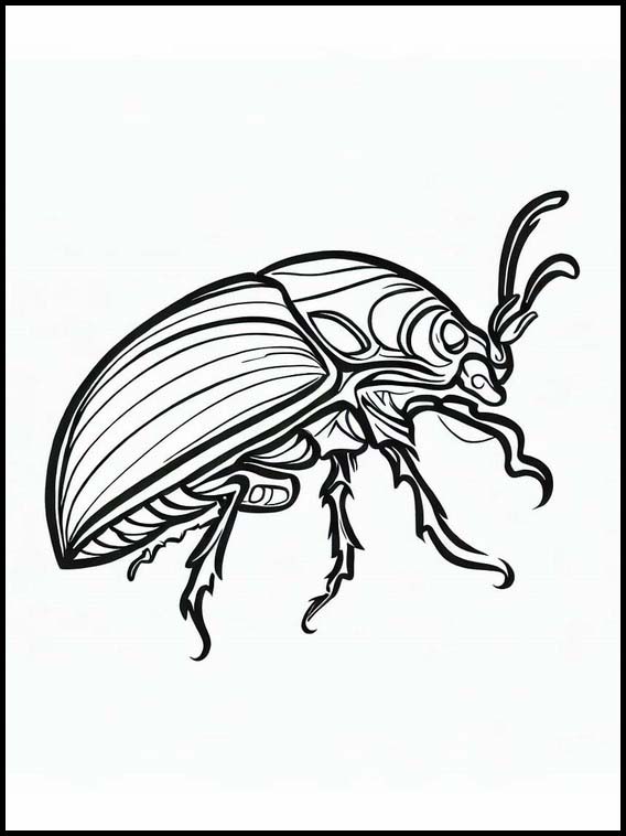 Beetles - Animals 1