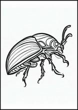 Skalbaggar - Djur1