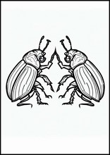 Escarabajos - Animales3