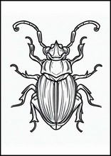 Escarabajos - Animales4
