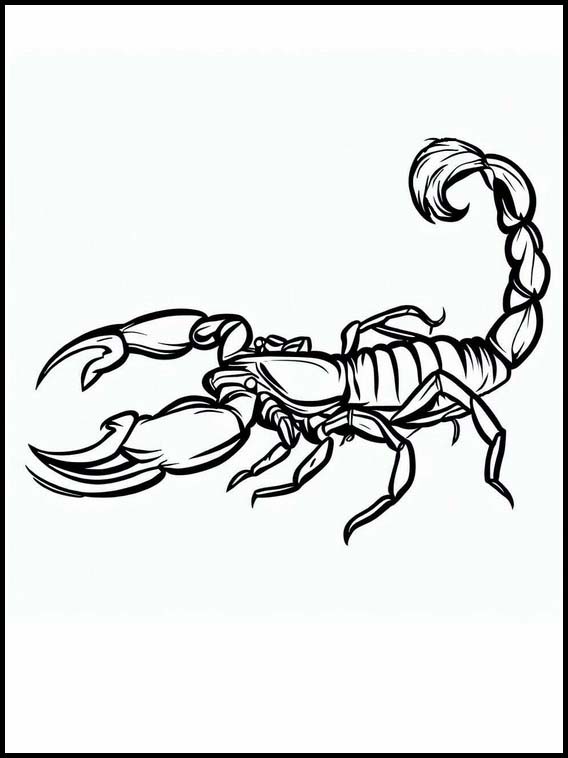 Skorpionit - Eläimet 1
