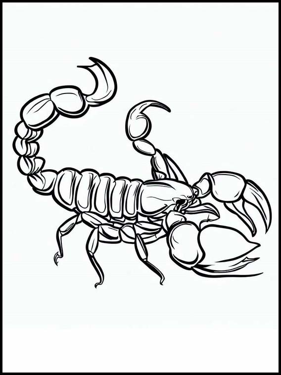 Escorpiões - Animais 3