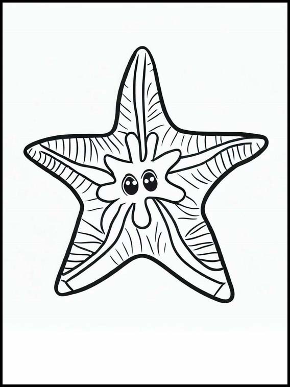 Starfish - Animals 1