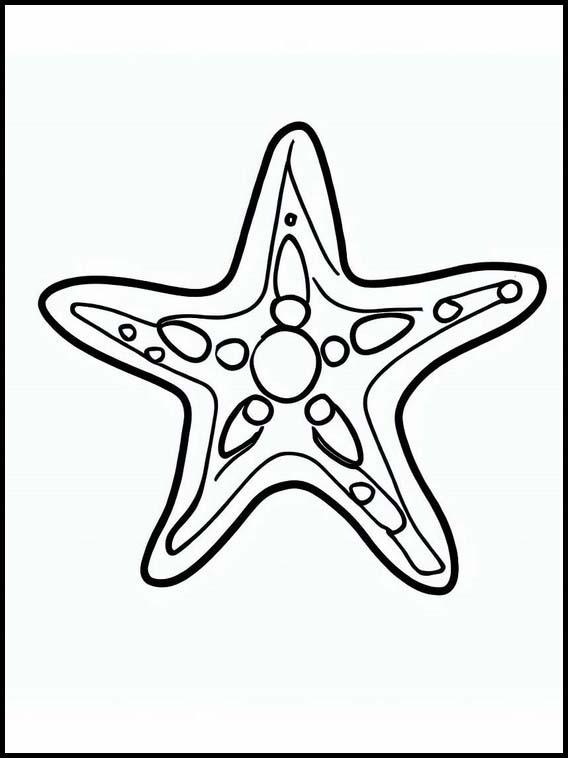 Estrellas de Mar - Animales 2