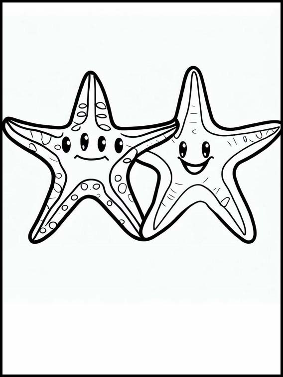 Starfish - Animals 3