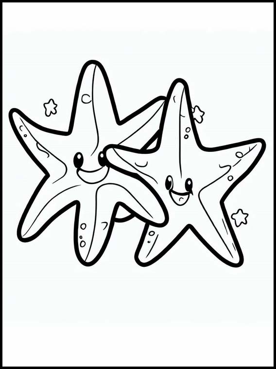 Étoiles de mer - Animaux 4