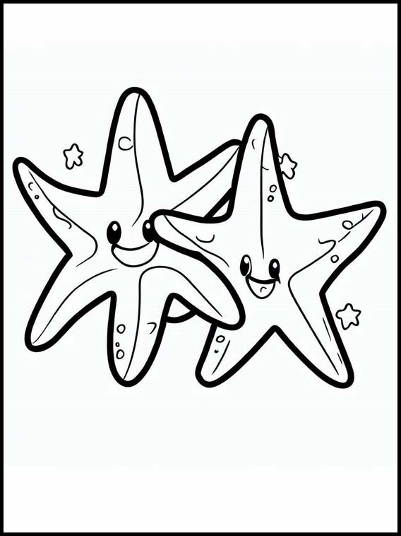 Estrelas-do-mar - Animais 4