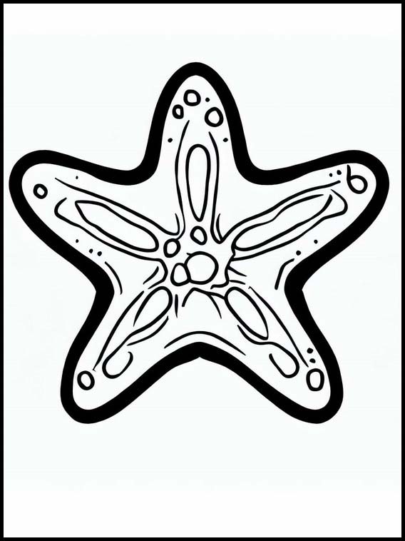 Starfish - Animals 5