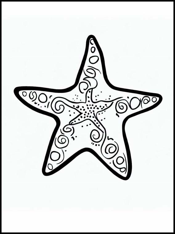 Estrellas de Mar - Animales 6