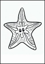 Sjöstjärnor - Djur1