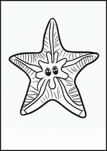海星1