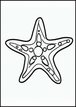 Морские звезды - Животные2