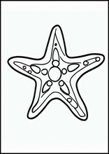 海星2