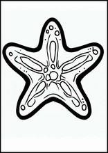 Étoiles de mer - Animaux5