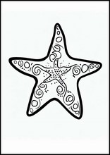Estrelas-do-mar - Animais6