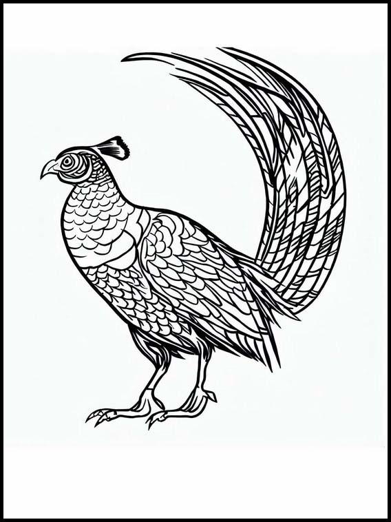 Pheasants - Animals 3