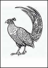 Pheasants - Animals3