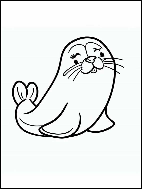 Seals - Animals 1