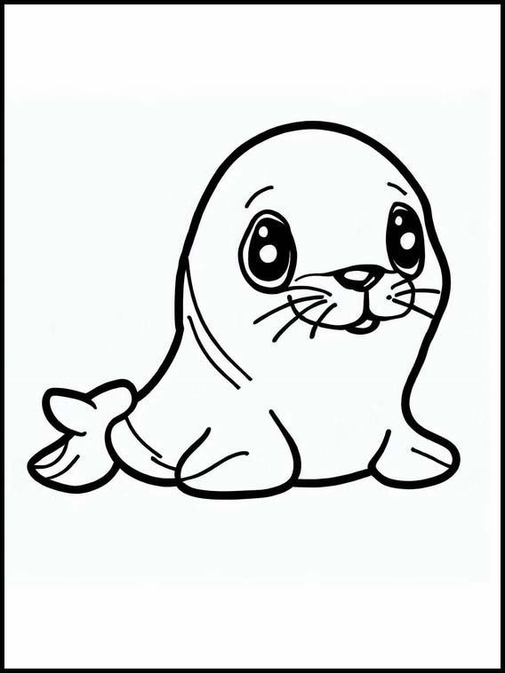 Foca - Animali 2