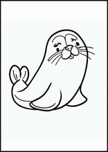 Seals - Animals1